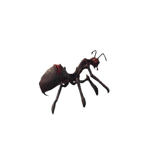 insect1_skin1_basemesh Variant